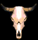 cowskull[1]