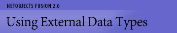 Using External Data Types
